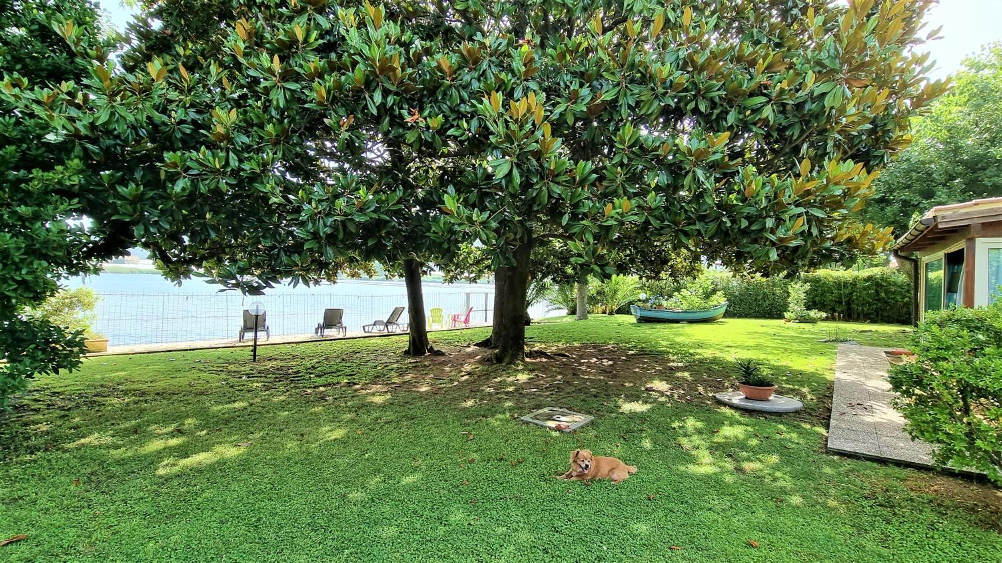 Villa Cecilia Sul Lago Fronte Mare สแปร์ลองกา ภายนอก รูปภาพ